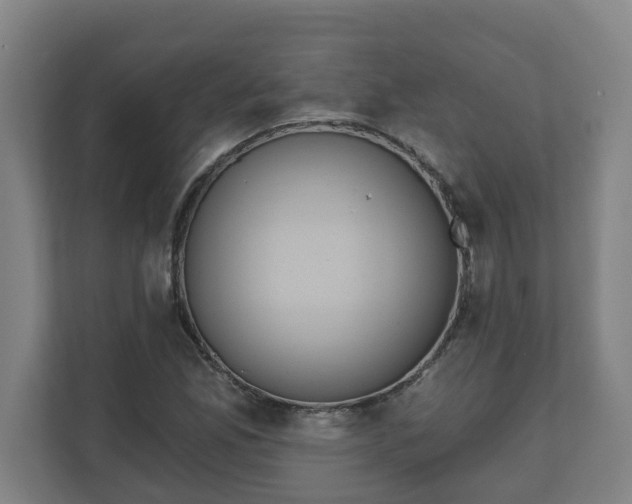 X0000111611165200907241004