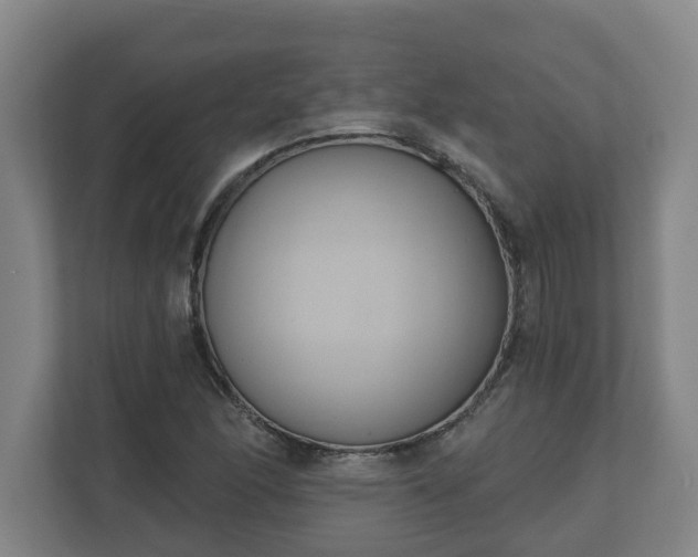 X0000111611166200907241004