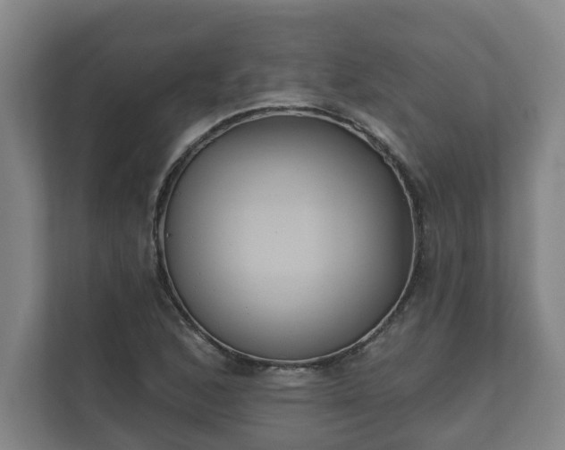 X0000111611168200907241004