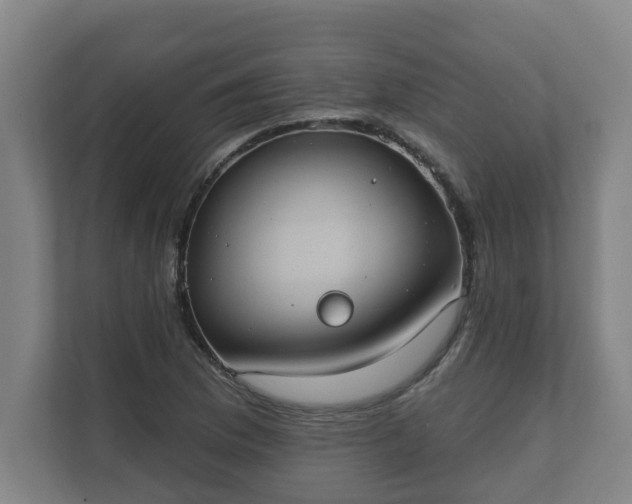 X0000111611169200907241004