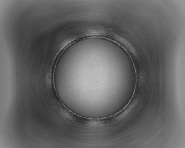 X0000111611170200907241004
