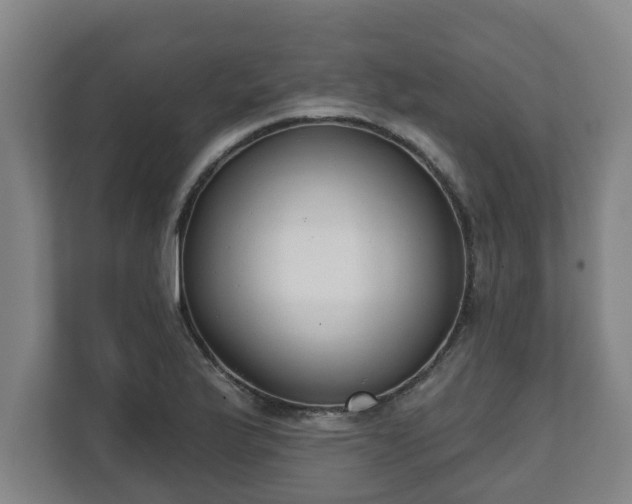 X0000111611175200907241003