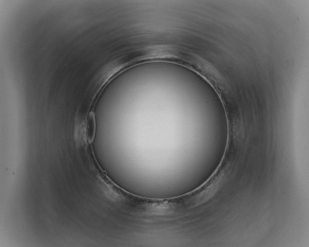 X0000111611177200907241003