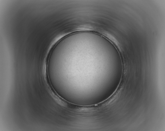 X0000111611179200907241003