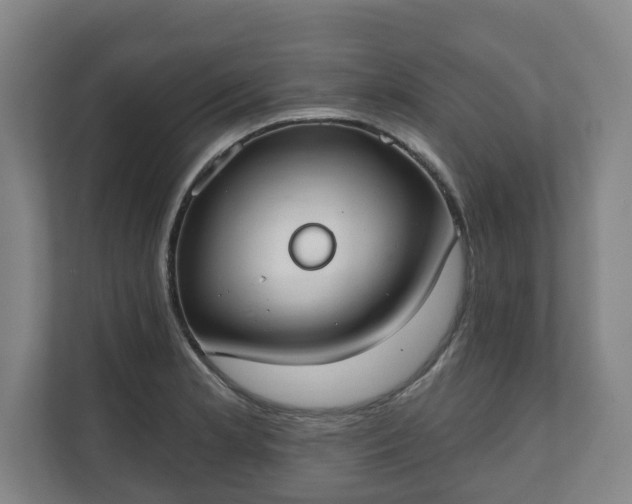 X0000111611181200907241003