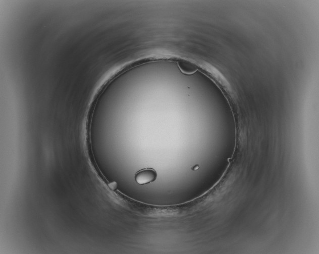 X0000111611183200907241003