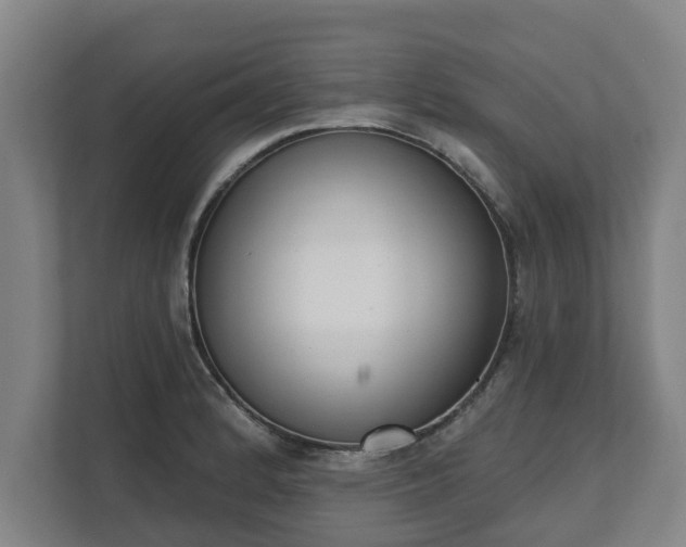 X0000111611184200907241003