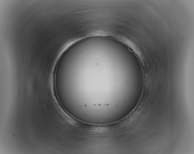 X0000111611187200907241003