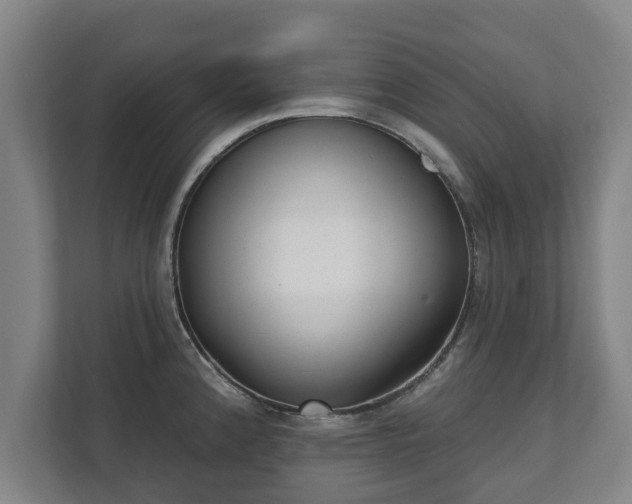 X0000111611192200907241003