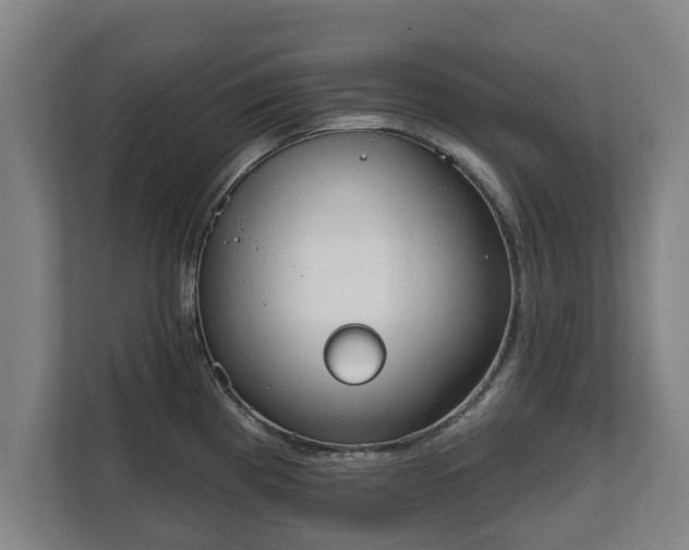 X0000111611193200907241003