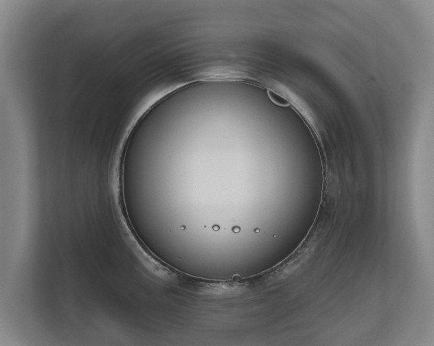 X0000111611195200907241003