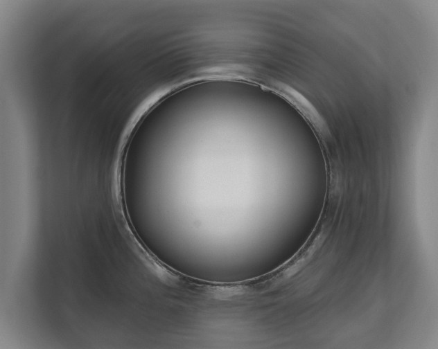 X0000111611196200907241003