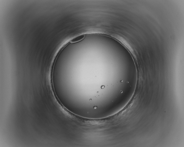 X0000111611197200907241003