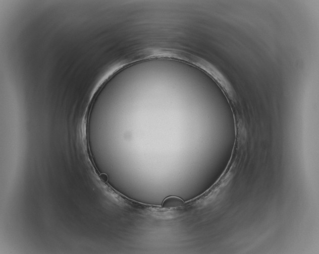 X0000111611198200907241003