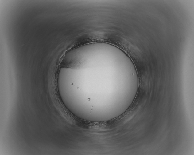 X0000111611201200907241002