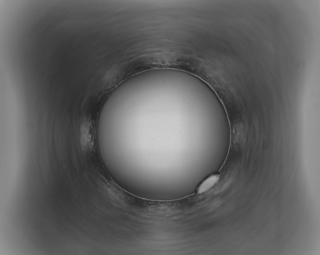X0000111611202200907241002
