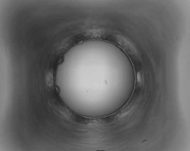 X0000111611203200907241002