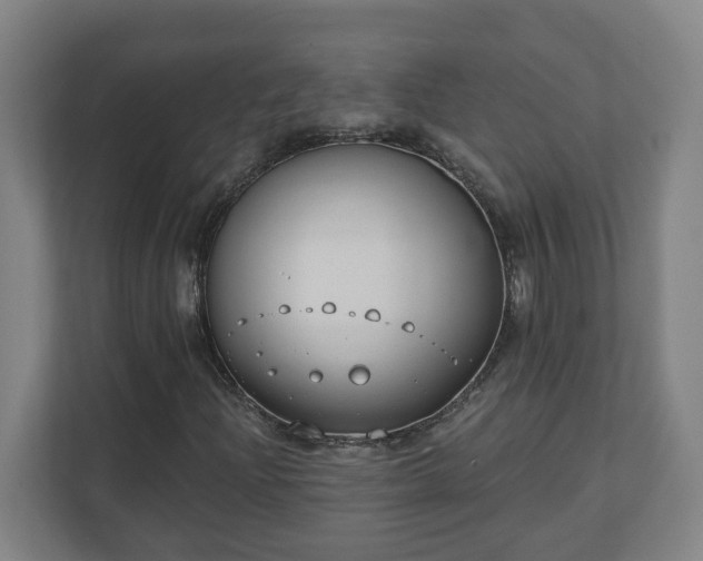 X0000111611204200907241002