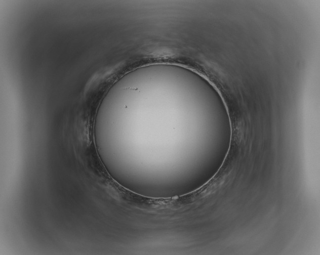 X0000111611205200907241002