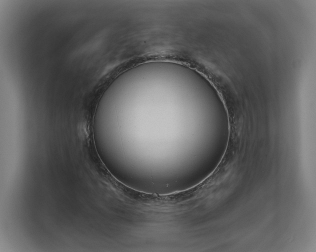X0000111611206200907241002