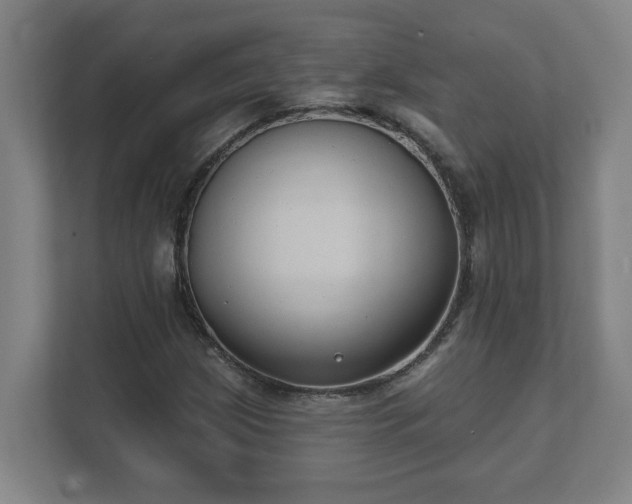 X0000111611209200907241002