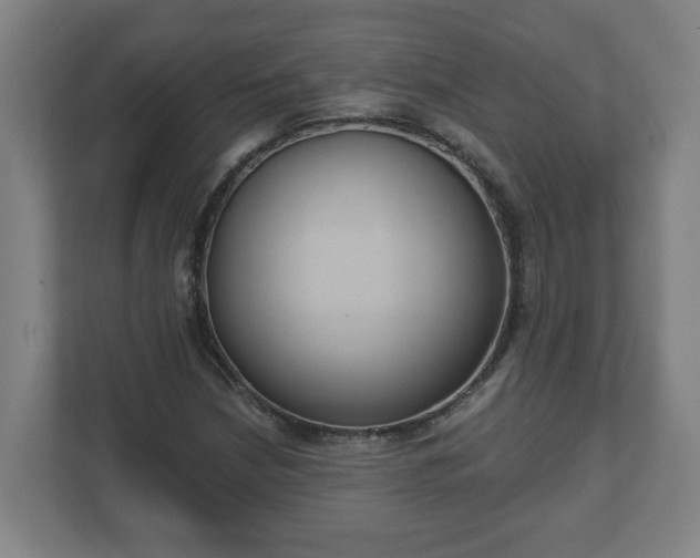 X0000111611210200907241002