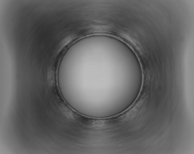 X0000111611211200907241002