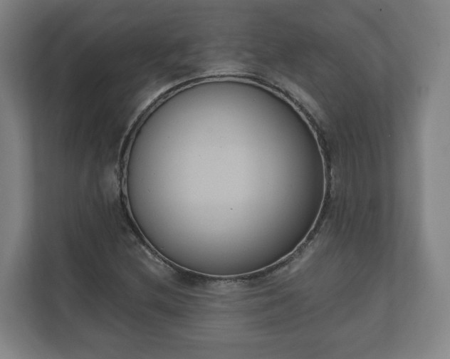 X0000111611212200907241002