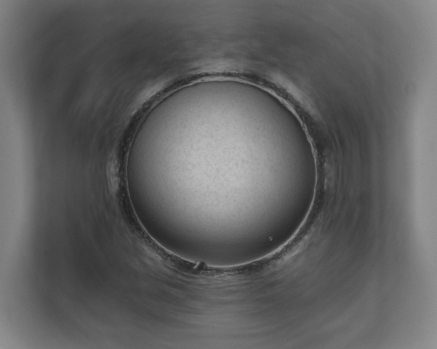 X0000111611213200907241003