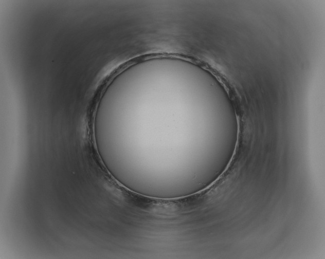 X0000111611215200907241003