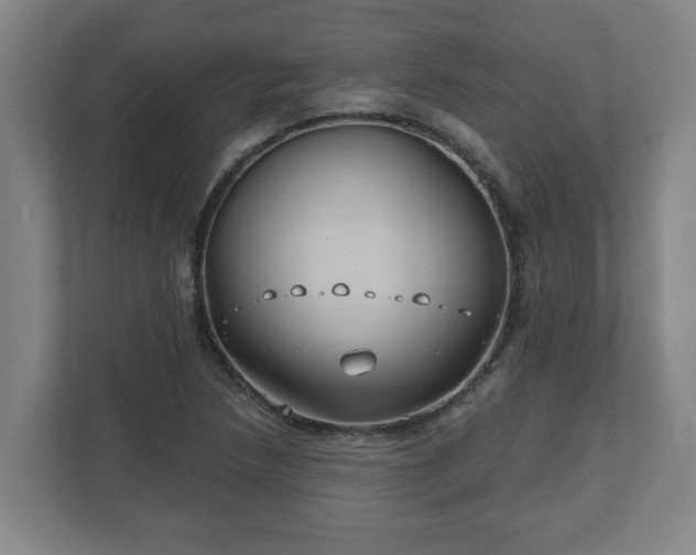 X0000111611218200907241003