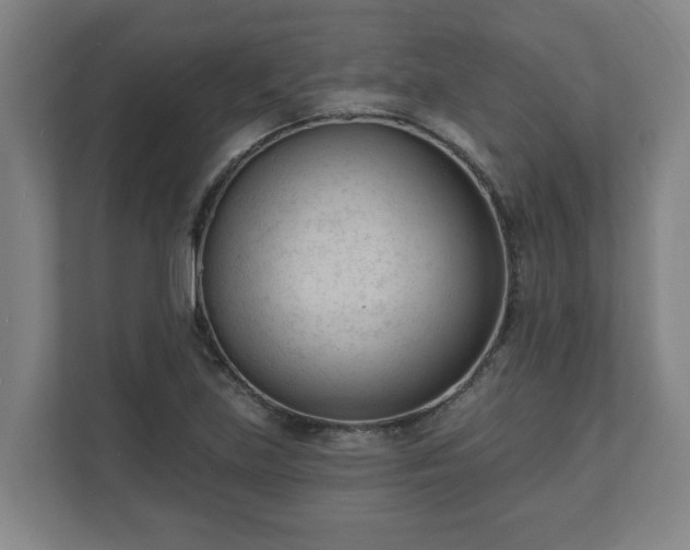 X0000111611219200907241003