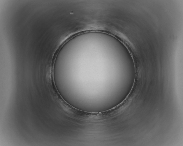 X0000111611220200907241003