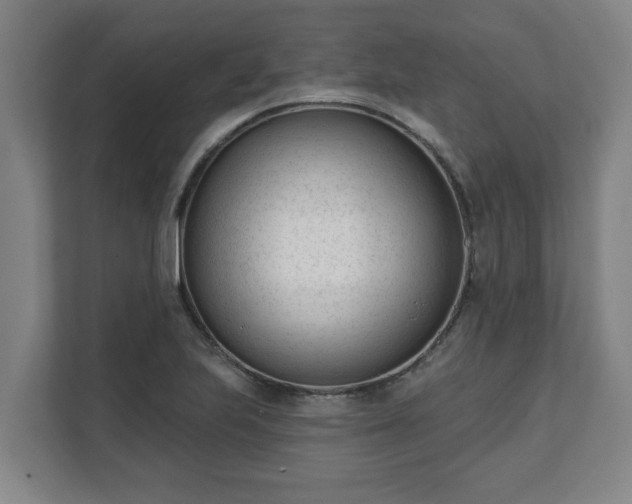 X0000111611223200907241003