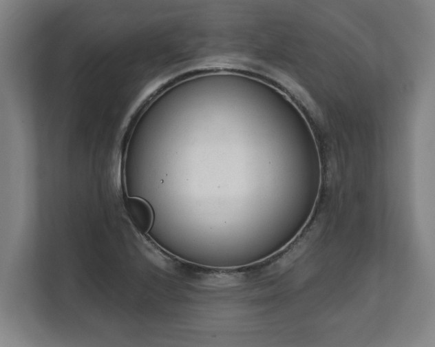X0000111611224200907241003