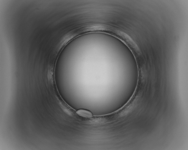 X0000111611225200907241003