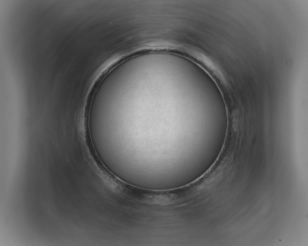 X0000111611229200907241003