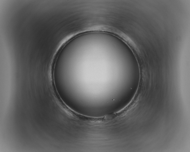X0000111611230200907241003