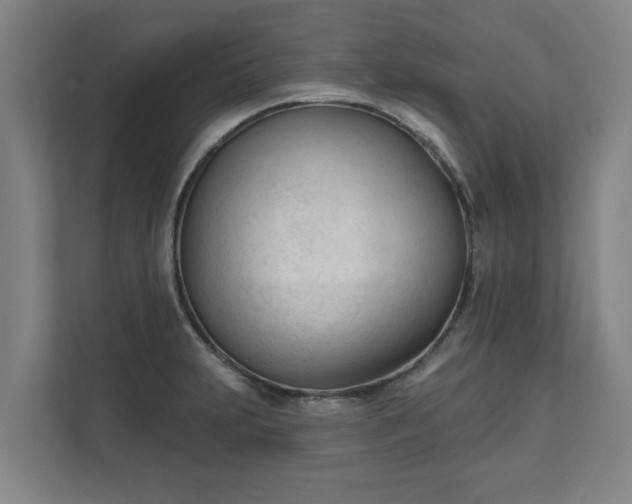 X0000111611231200907241003