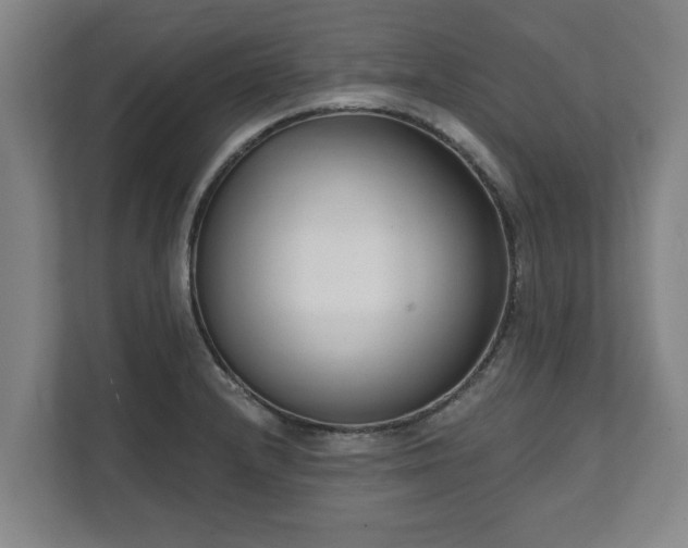 X0000111611232200907241003