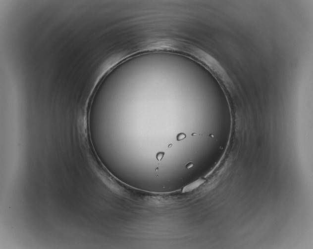 X0000111611234200907241003