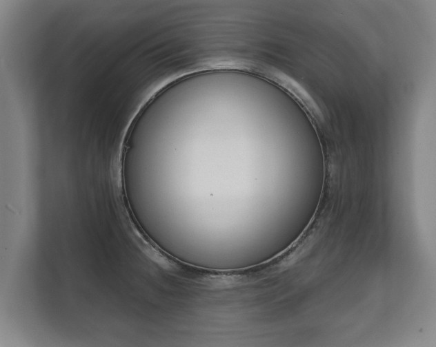 X0000111611236200907241003