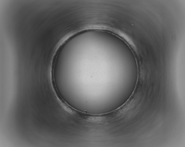 X0000111611237200907241003