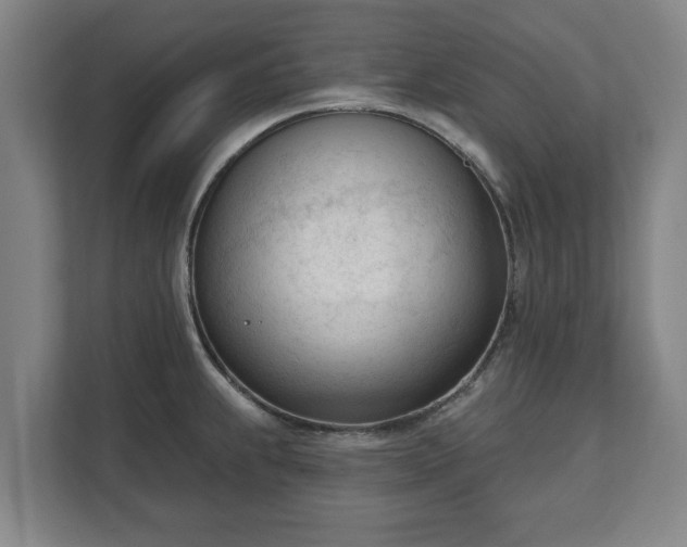 X0000111611239200907241003