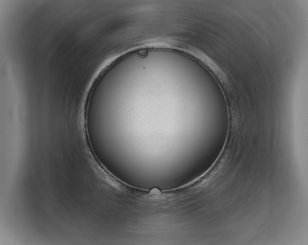 X0000111611240200907241003