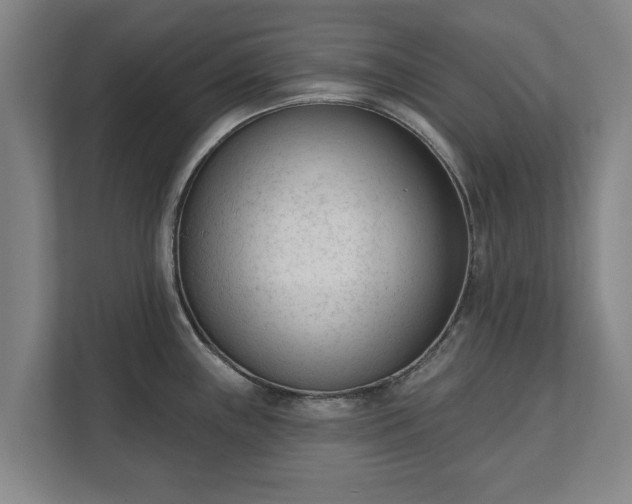 X0000111611243200907241003
