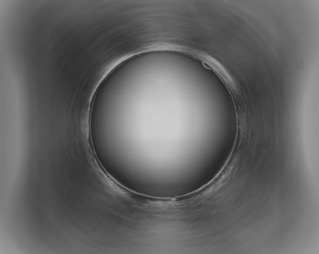 X0000111611244200907241003