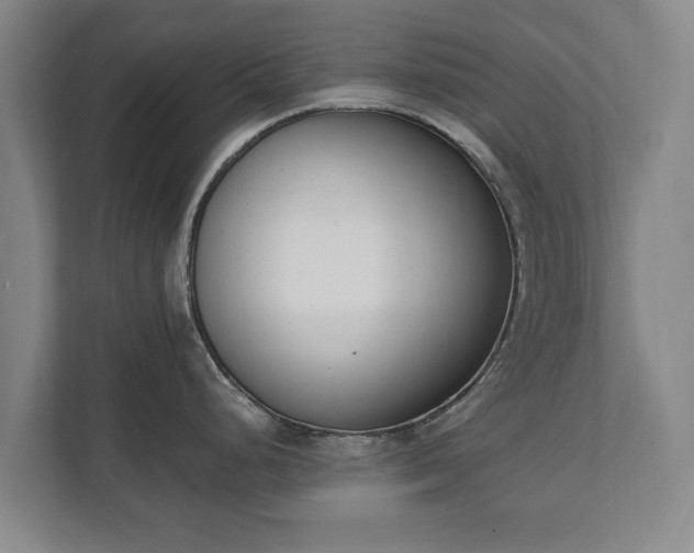 X0000111611248200907241003