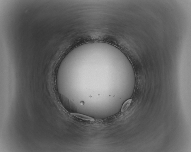 X0000111611249200907241002