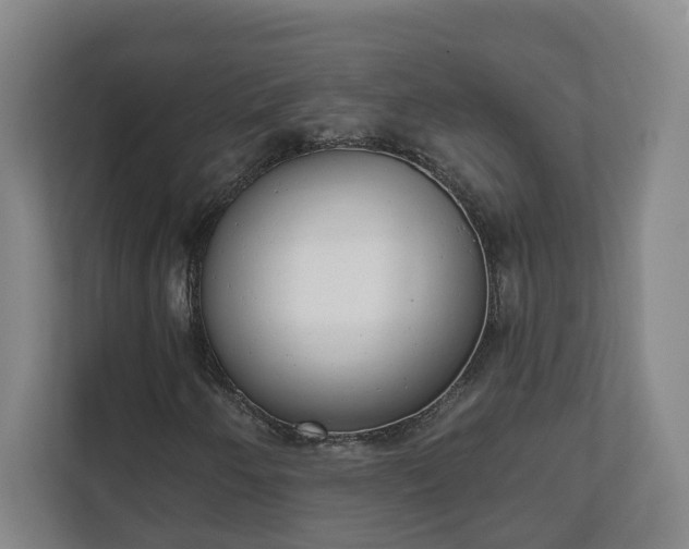 X0000111611250200907241002